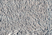 Monitoring New Impact Site