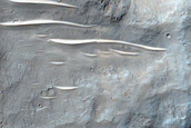 Terrain Sample