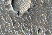 Isidis Planitia