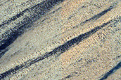 Chasma Boreale Dune Changes