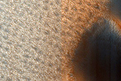 Dust-Raising Event and Streak Monitoring in North Polar Dune Field