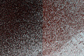 Fringe of Perennial Ice