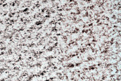 Ice-Filled North Polar Layered Deposits Crater