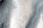 Group of Channels along Old Crater Wall
