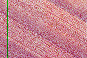 Exposure of North Polar Layered Deposits