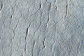 Utopia Planitia