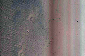Survey Frost in Fresh-Looking Crater with Steep Slopes