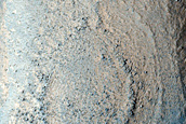 Albedo and Topographic Feature in Western Arcadia Planitia