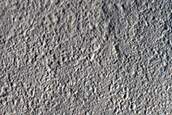 Arabia Terra