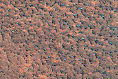 Northern Plains Terrain Sample