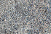 Arcadia Planitia Terrain Sample
