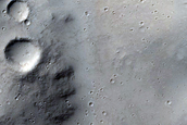 Frost Survey in Steep and Fresh-Looking Crater