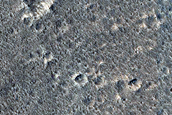 Nepenthes Planum Terrain Sample