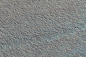 Northern Terrain Sample