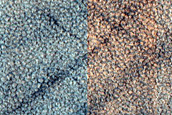 Acidalia Planitia Terrain Sample