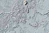 Patterned Ground in Elysium Planitia