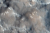 Utopia Planitia