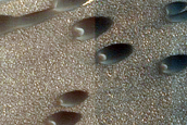 Olympia Undae Dune Interaction with Residual Polar Ice