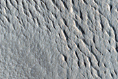 Contact Area in North Amazonis Planitia