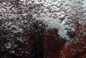 Fringe of Perennial Ice