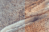 Mounds on North Polar Residual Ice atop Dunes