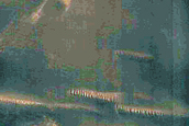 Scandia Cavi Polar Erg Dunes