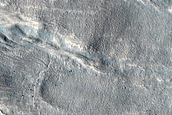 Gullies on Western Wall of Nier Crater