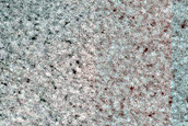 Perennial Ice Deposit