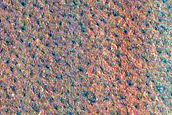 Northern Plains Monitoring