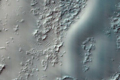 Dune Field Survey