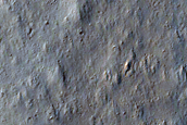Ridges in Amazonis Planitia and Dust Devil Survey
