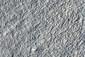 Dust Devil Survey in Amazonis Planitia