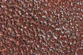 North Polar Terrain Sample