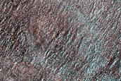 Fringe of Perennial Ice Deposit