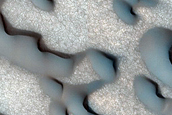 Polar Dunes Monitoring