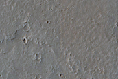 Platy-Ridged Lava
