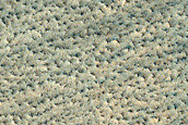 Terrain Sample