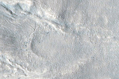 Gullies on Western Wall of Nier Crater