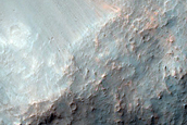 Diverse Minerals in Terra Tyrrhena Craters