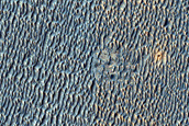 Recent Impact Site
