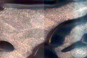 Seasonal Ice-Dune Interactions in Olympia Undae