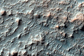 Olivine-Bearing Materials on Northern Terra Cimmeria Crater Floor