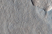 Scalloped Depression Region