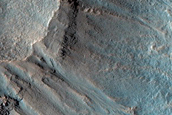Gully Monitoring