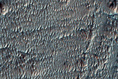 Lobed Valley Floor Deposits