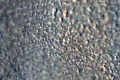 Gully Monitoring