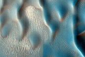 Dune Survey