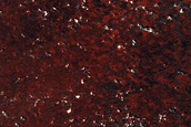 Northern Plains Terrain Sample