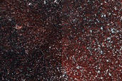 North Polar Terrain Sample