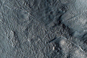Gully Monitoring